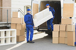 Removalist