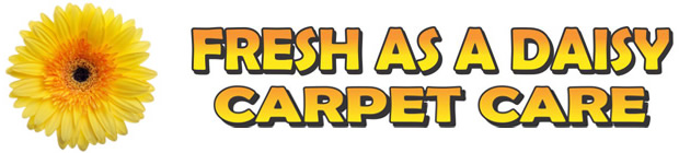 Carpet Cleaning Services