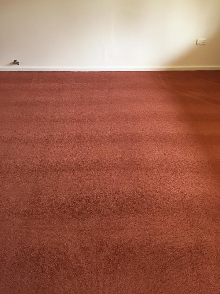 Cheap Carpet Cleaning