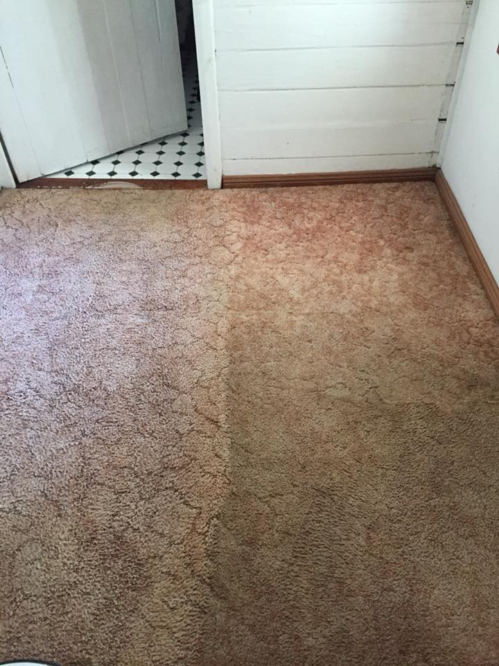 Professional Carpet Cleaning